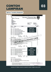 PANDUAN PERMOHONAN DPP (WEBSITE)_Page_13